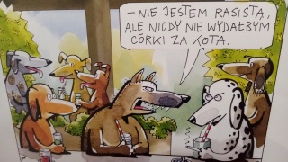 Rysunki Andrzeja Mleczki w Inowrocławiu. W galerii ogląda się je inaczej