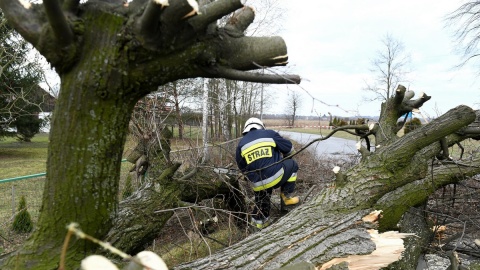 Wichura uszkodziła 250 budynków i setki drzew w całym kraju