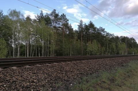 Powrót pociągów na trasę Inowrocław-Żnin Jest apel do premiera