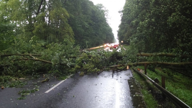 Zerwane dachy, połamane drzewa. W całym regionie mocno wiało