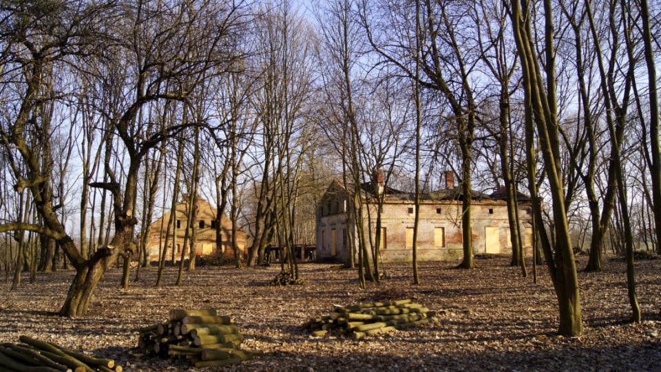 Pozostałości po majątku Rydygierów w Dusocinie./fot. PR PiK/archiwum
