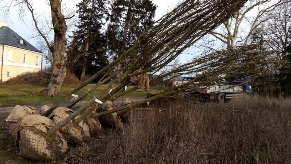 Odbudowa zabytkowego parku w Lubostroniu/fot. Tomasz Gronet