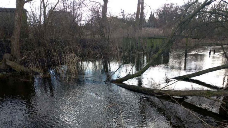 Prace porządkowe na lokalnych wodach./fot. bydgoszcz.wody.gov.pl