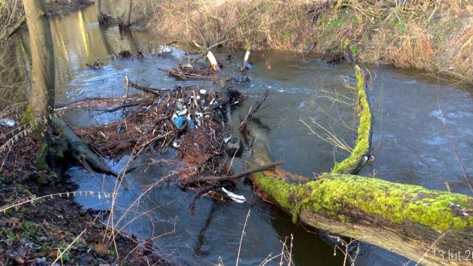 Prace porządkowe na lokalnych wodach./fot. bydgoszcz.wody.gov.pl