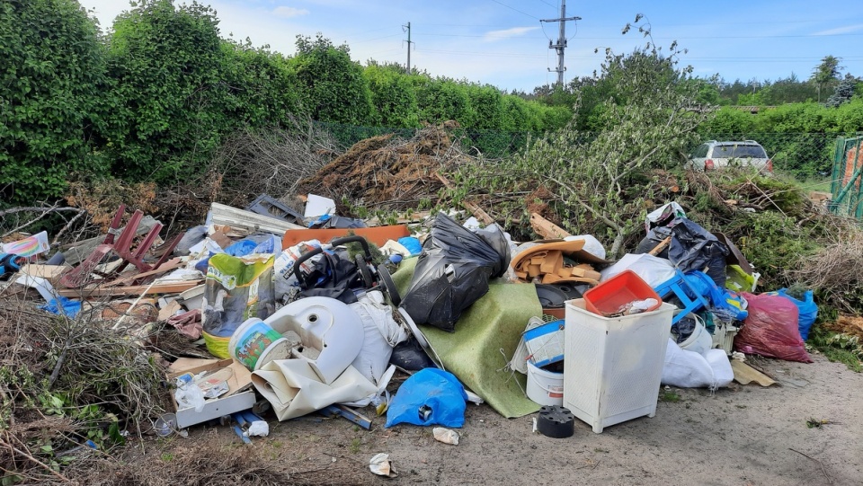 Śmieci zaleją m.in. na działkach przy ul. Wyścigowej w Bydgoszczy/fot. Ewa Kurzawa