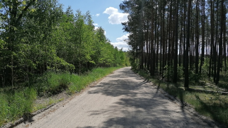 Od wtorku policja przeszukuje lasy w okolicach Olimpina/fot. mg