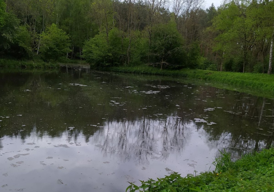 Tuchola i okolice/fot. nadesłane