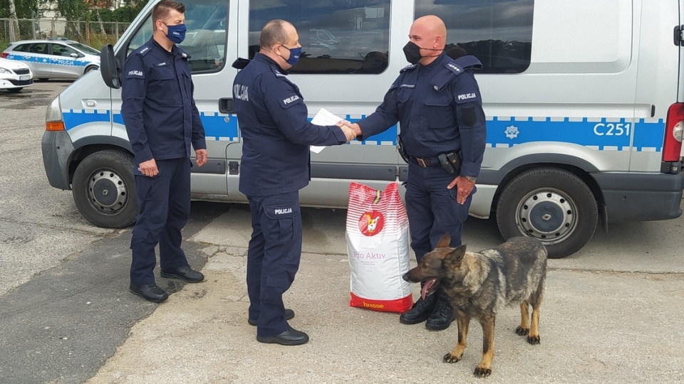 Horda to 9-letni owczarek niemiecki krótkowłosy, wyszkolony do tropienia. Z uwagi na stan zdrowia, musiał przejść na emeryturę/fot. mat. policji