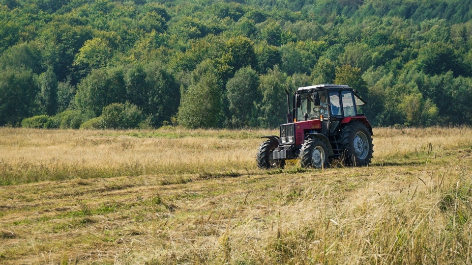 Fot. Pixabay.comInspektorzy podkreślają, że jeśli chodzi o bezpieczeństwo - świadomość gospodarzy rośnie.