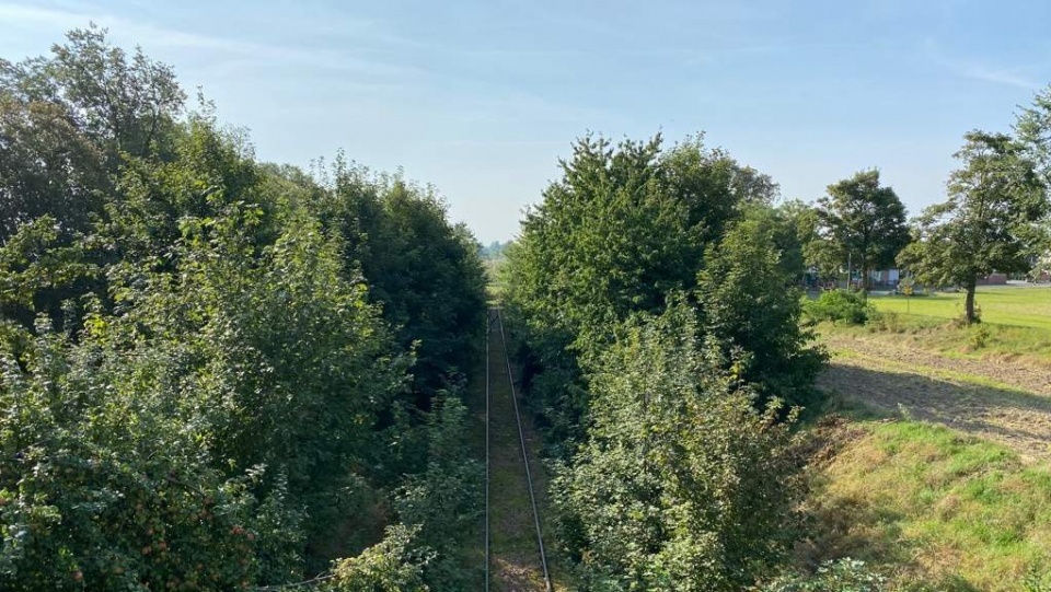 Czy po takich zapomnianych torach pojadą jeszcze pociągi? Fot. Archiwum