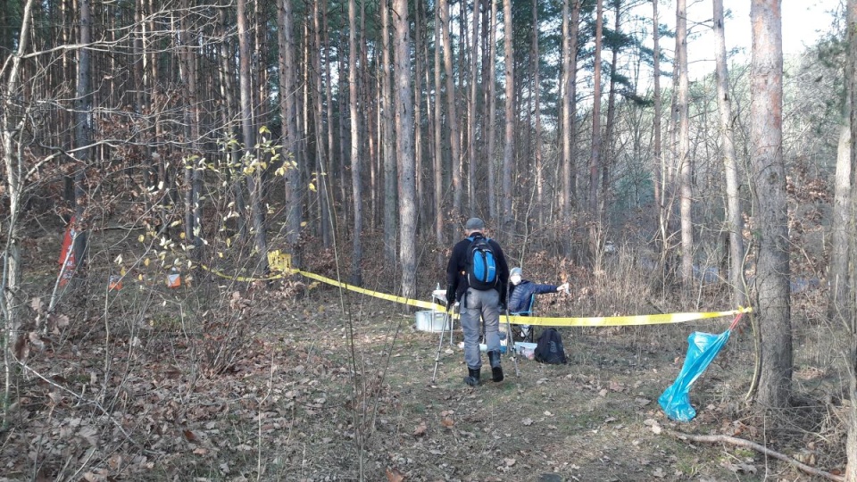 Bieg na orientację w lasach bydgoskiego Mariampolu/fot. Tatiana Adonis