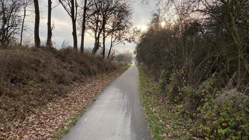 Nowa droga rowerowa powstanie na odcinku od ul. Gdańskiej do pętli autobusowej na osiedlu Podkowa. Fot. Tomasz Kaźmierski