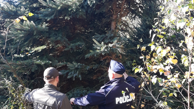 Wspólne patrole policji i leśników w okolicach 1 listopada/fot. materiały policji