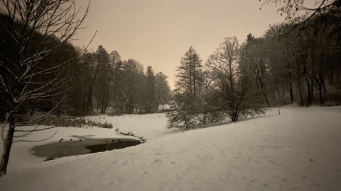My też kochamy zimę: ogród botaniczny w Myślęcinka w zimowej krasie. Fot. Tomasz Kaźmierski
