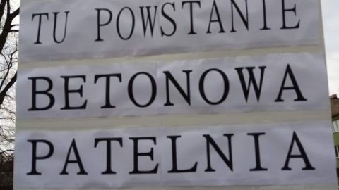 Projekt przebudowy ul. 700-lecia w Żninie zakładający wycinkę przeszło 60 rosnących przy niej drzew wywołał protesty mieszkańców. Fot. Tomasz Gronet