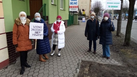 Projekt przebudowy ul. 700-lecia w Żninie zakładający wycinkę przeszło 60 rosnących przy niej drzew wywołał protesty mieszkańców. Fot. Tomasz Gronet