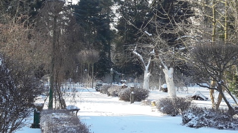 Ogród Botaniczny UKW/fot. Tatiana Adonis