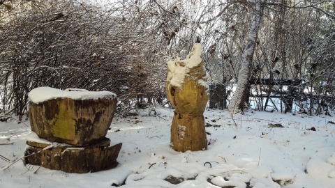 Ogród Botaniczny UKW/fot. Tatiana Adonis