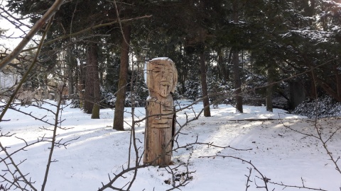 Ogród Botaniczny UKW/fot. Tatiana Adonis