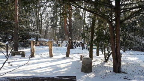 Ogród Botaniczny UKW/fot. Tatiana Adonis