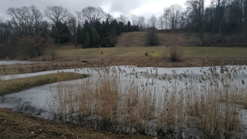 Ogród Botaniczny w bydgoskim Myślęcinku/fot. mg