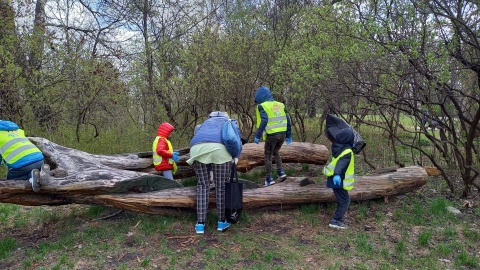 Z workami w rękach ruszyli zbierać śmieci - chodzi o wolontariuszy, którzy biorą udział w akcji Czysta Puszcza Bydgoska. Fot. Agata Raczek