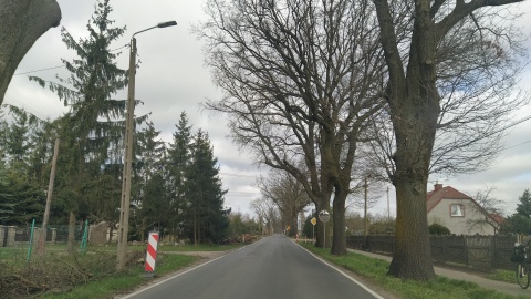 Mieszkańcy gminy Jeżewo w powiecie świeckim zbierają podpisy pod petycją do Wojewódzkiego Konserwatora Zabytków. Fot. Marcin Doliński