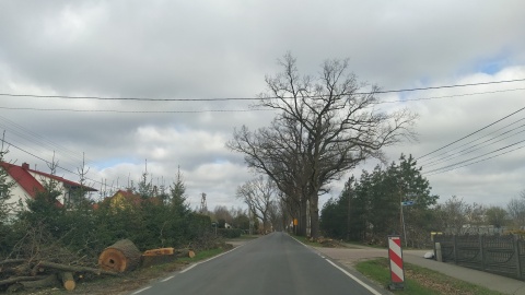 Mieszkańcy gminy Jeżewo w powiecie świeckim zbierają podpisy pod petycją do Wojewódzkiego Konserwatora Zabytków. Fot. Marcin Doliński