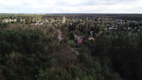 Działki ROD Janowo i Opławiec koło Bydgoszczy/fot. Dronfor Krzysztof Forgiel