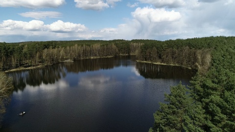 02Bory Tucholskie z lotu ptaka/fot. Dronfor Krzysztof Forgiel