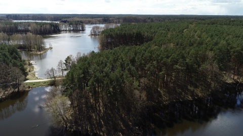 Bory Tucholskie z lotu ptaka/fot. Dronfor Krzysztof Forgiel