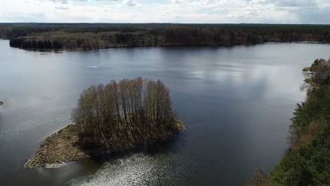 Bory Tucholskie z lotu ptaka/fot. Dronfor Krzysztof Forgiel