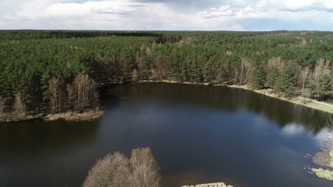 Bory Tucholskie z lotu ptaka/fot. Dronfor Krzysztof Forgiel