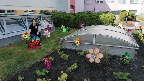Zaczarowany ogród na dachu pierwszego piętra szpitala dziecięcego w Bydgoszczy/fot. Facebook