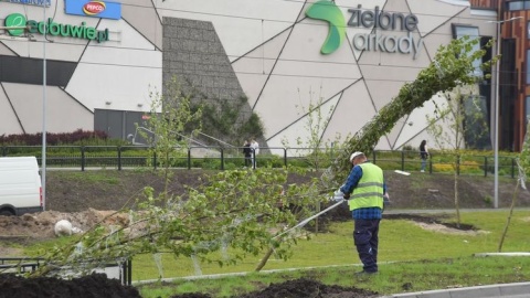 Zakończenie wszystkich prac zaplanowane jest w ciągu miesiąca. Fot. UM w Bydgoszczy