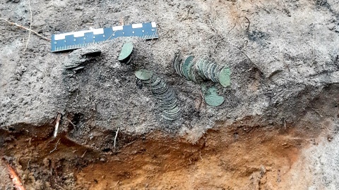 Sto srebrnych monet z czasów krzyżackich znaleźli poszukiwacze skarbów z Wielkiej Nieszawki w Nadleśnictwie Cierpiszewo/fot. nadesłane