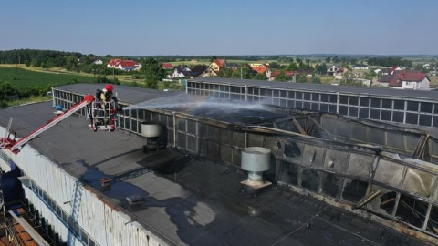 Pożar w hali produkcyjnej w miejscowości Kowalewo koło Szubina./fot. Bydgoszcz 998
