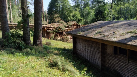 Tysiące połamanych drzew, uszkodzone budynki, zniszczone uprawy. Fot. Marcin Doliński