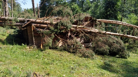 Tysiące połamanych drzew, uszkodzone budynki, zniszczone uprawy. Fot. Marcin Doliński