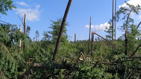 Tysiące połamanych drzew, uszkodzone budynki, zniszczone uprawy. Fot. Marcin Doliński