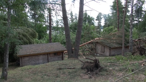 Tysiące połamanych drzew, uszkodzone budynki, zniszczone uprawy. (jw)