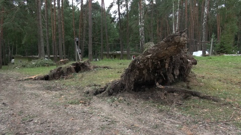 Tysiące połamanych drzew, uszkodzone budynki, zniszczone uprawy. (jw)