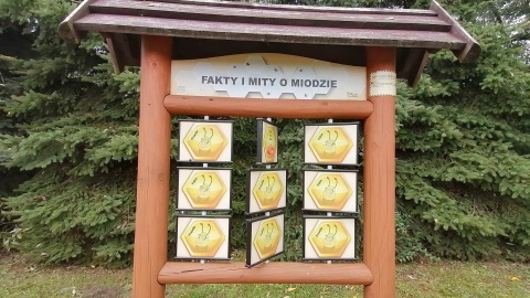 Na koniec wakacji zajrzeliśmy z naszym wozem satelitarnym do „Miodowej wioski” w Wielkim Mędromierzu w gminie Gostycyn. Fot. Monika Siwak