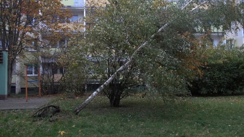 Wichura na bydgoskich Wyżynach. Poprzewracane kontenery na odzież i śmietniki, powyrywane drzewa, rozbite przez gałęzie lampy. (jw)