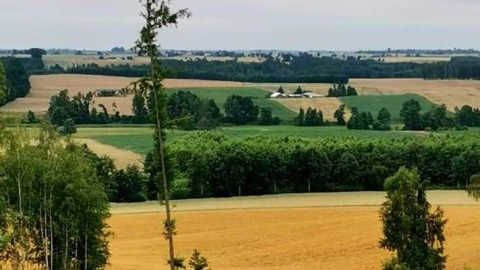 1 maja otwarta zostanie ścieżka na najwyższy punkt widokowy, gdzie będzie można podziwiać krajobrazy z czterech stron świata./fot. nadesłane