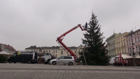 Na bydgoskim Stary Rynek stanęło już świąteczne drzewko (jw)
