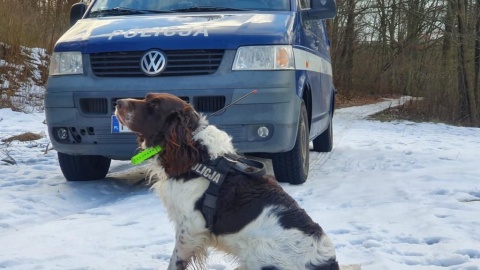 Michał Stachura to nasz kolega-policjant, przewodnik psa służbowego - piszą policjanci/fot. materiały policji