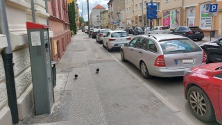 Które bydgoskie chodniki zostaną w tym roku wyremontowane [lista]