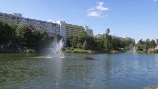 Filmy na plaży nad Balatonem. Nowe kino plenerowe w Bydgoszczy [repertuar]