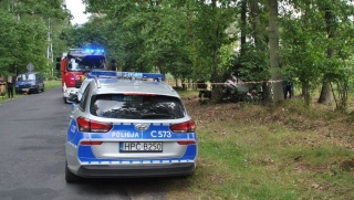 Bez prawa jazdy, z sądowym zakazem, prosto w drzewo